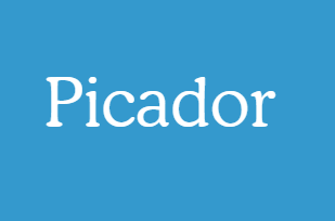 Picador - фото