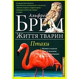Життя тварин. Птахи
