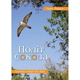 Політ сокола