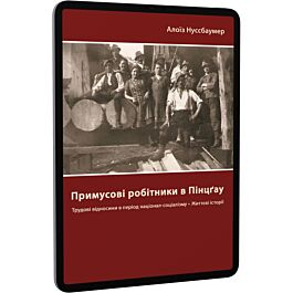 Примусові робітники в Пінцґау. Трудові відносини в...