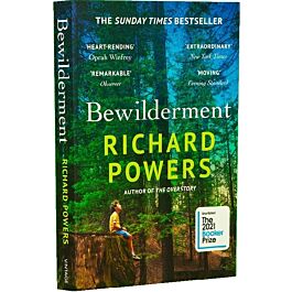 Bewilderment (standart)