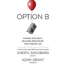 Option B