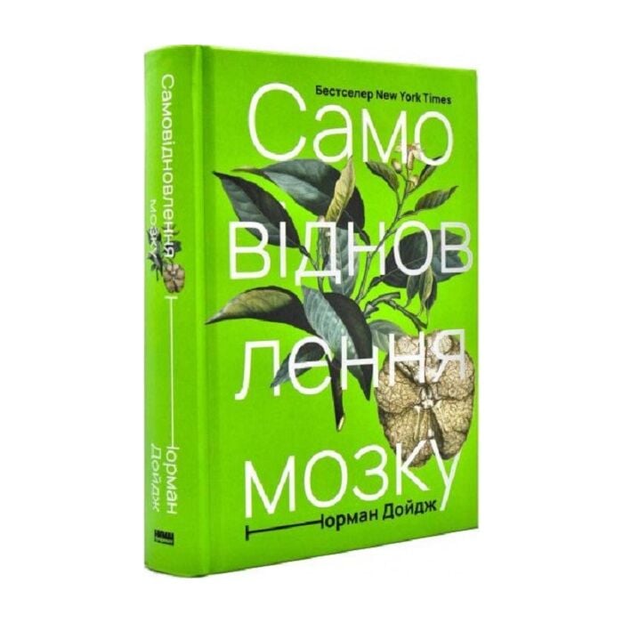 Самовідновлення мозку.jpg