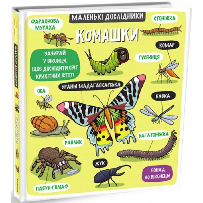Маленькі дослідники Комашки.jpeg