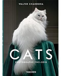 Фото - Cats. Photographs 1942–2018