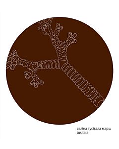 Фото - Tusitala