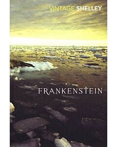 Фото - Frankenstein (Vintage Classics)
