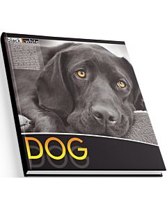 Фото - Блокнот Quadro «Dog» 80 аркушів, білий блок у клітинку