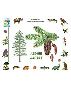 Фото - Навчальна книжка-розмальовка. Хвойні дерева