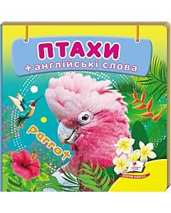 Фото - Птахи + англійські слова (Навколишній світ)