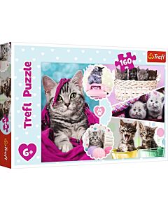 Фото - Пазли 160 «Колаж: Милі кошенята»