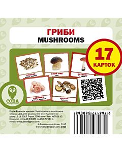 Фото - Навчальний посібник «Гриби / Mushrooms» 17 карток