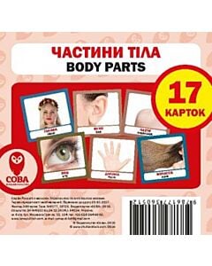 Фото - Навчальний посібник «Частини тіла / Body Parts» 17 карток