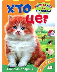 Фото - Хто це? Свійські тварини