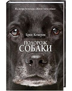 Фото - Подорож собаки