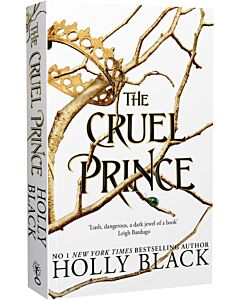 Фото - The Cruel Prince. Book 1 (The Folk of the Air)