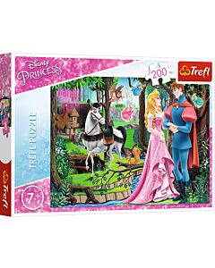 Фото - Пазли 200 «Принцеса Аврора. Зустріч у лісі / Disney. Princess. Aurora»