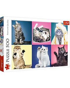 Фото - Пазли 500 «Колаж: Котики»