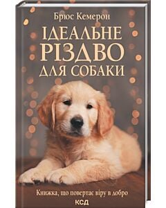 Фото - Ідеальне Різдво для собаки