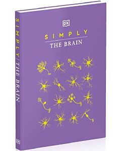 Фото - Simply The Brain