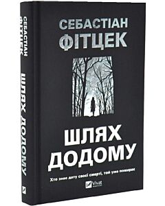Фото - Шлях додому (трилер)