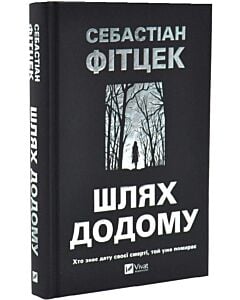 Фото - Шлях додому (трилер)