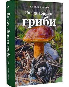 Фото - Як і де збирати гриби