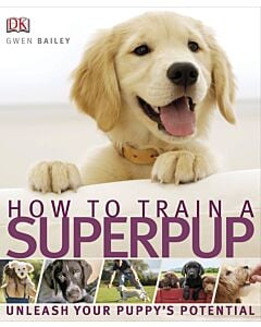 Фото - How to Train a Superpup
