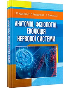Фото - Анатомія, фізіологія, еволюція нервової системи