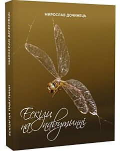 Фото - Ескізи на павутинні