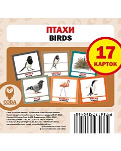 Фото - Навчальний посібник «Птахи / Birds» 17 карток
