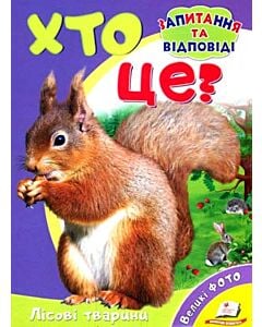Фото - Хто це? Лісові тварини
