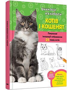 Фото - Вчимося малювати котів і кошенят