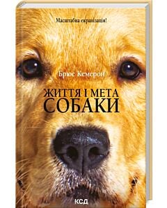 Фото - Життя і мета собаки