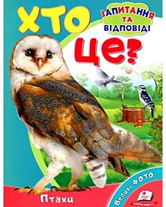 Фото - Хто це? Птахи