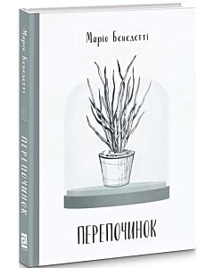 Фото - Перепочинок