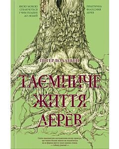 Фото - Таємниче життя дерев