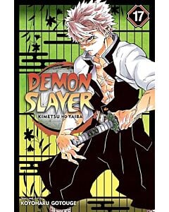 Фото - Demon Slayer. Kimetsu No Yaiba. Vol. 17