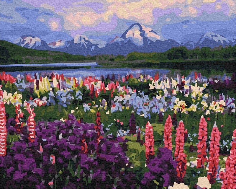 Картина за номерами на підрамнику 50*40 см «Долина польових квітів»