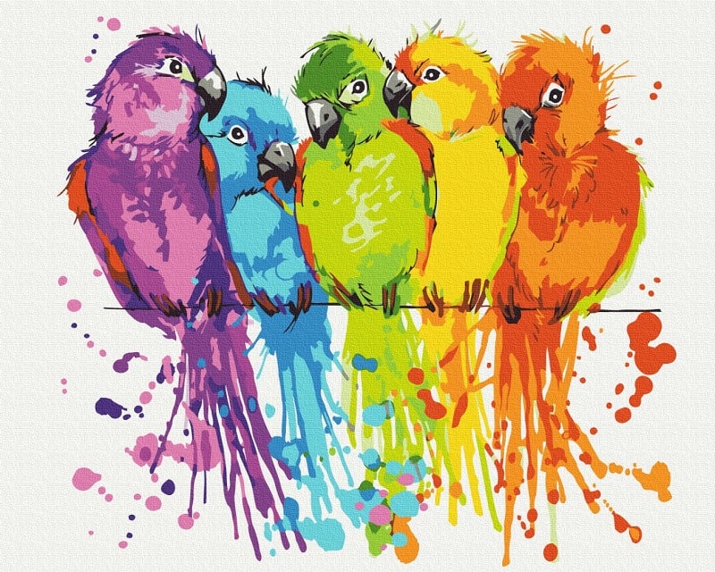 Картина за номерами на підрамнику 50*40 см «Різнокольорові папуги»