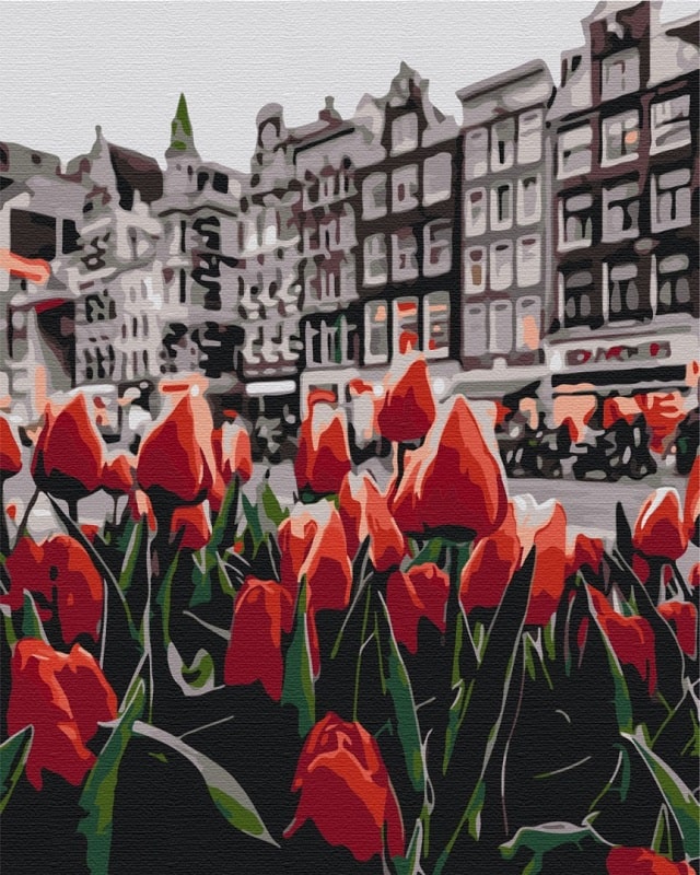 Картина за номерами на підрамнику 40*50 см «Тюльпани Амстердаму»