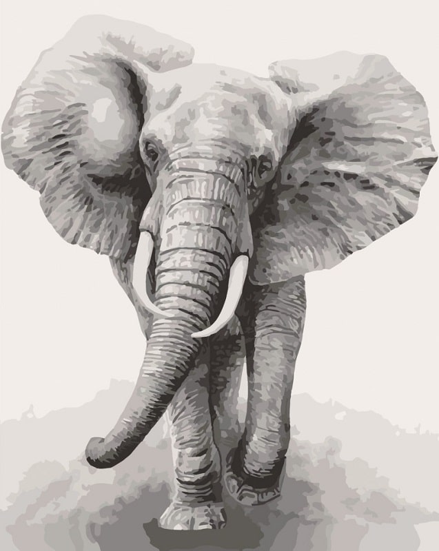 Набір для розпису за номерами на підрамнику 40*50 см «Африканський слон»