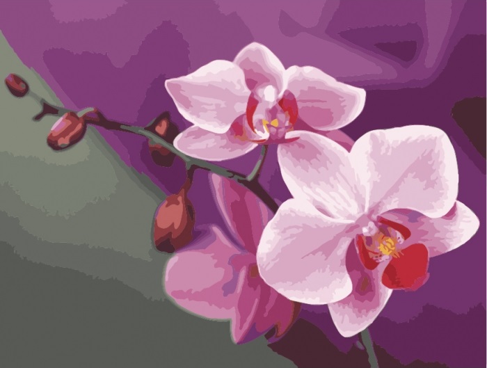 Набір для розпису за номерами на підрамнику 50*40 см «Рожеві орхідеї»