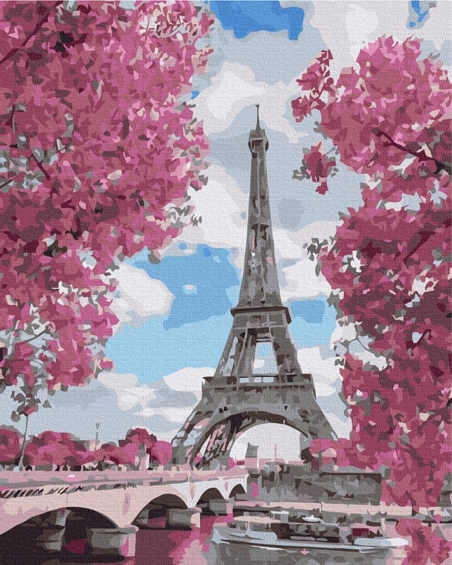 Картина за номерами на підрамнику 40*50 см «Магнолія в Парижі»