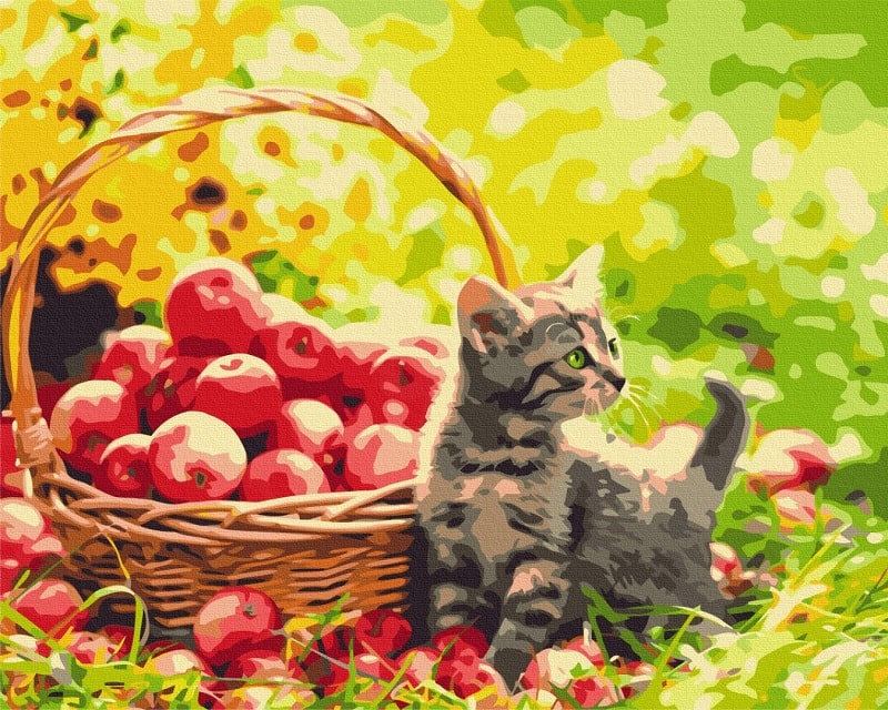 Картина за номерами на підрамнику 50*40 см «Яблучний коти»