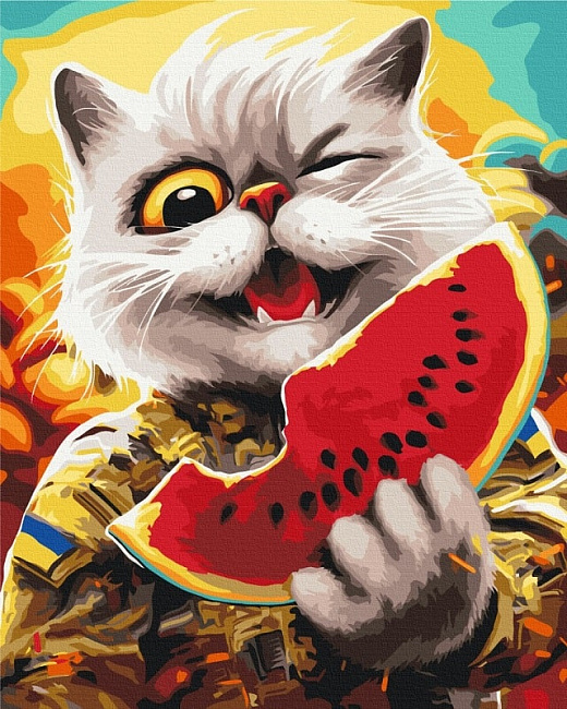 Картина за номерами на підрамнику 40*50 см «Котик в Херсоні»