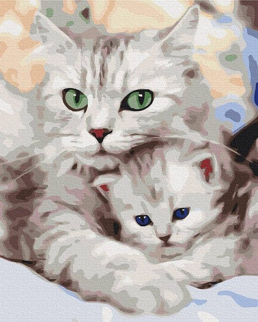 Картина за номерами на підрамнику 40*50 см «Мама кішка з котеням»