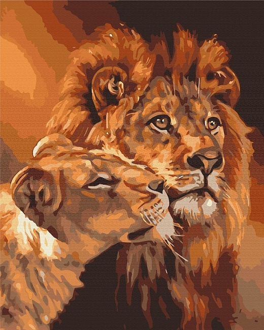 Картина за номерами на підрамнику 40*50 см «Закохані леви»