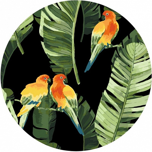 Картина за номерами на підрамнику Ø 30 см «Папуги в тропіках» (кругла, M)